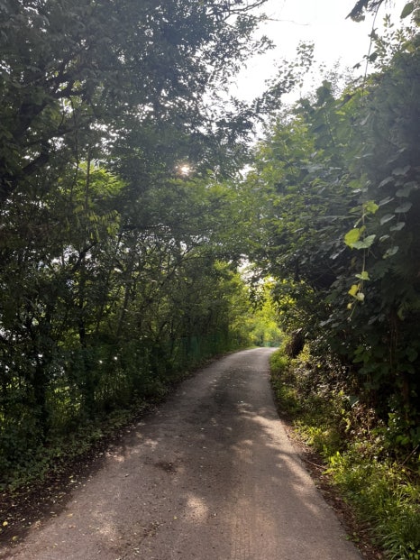 그리너리문 이미지