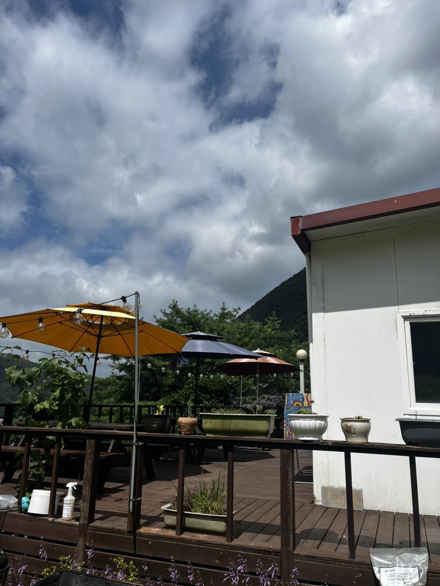 그리너리문 이미지