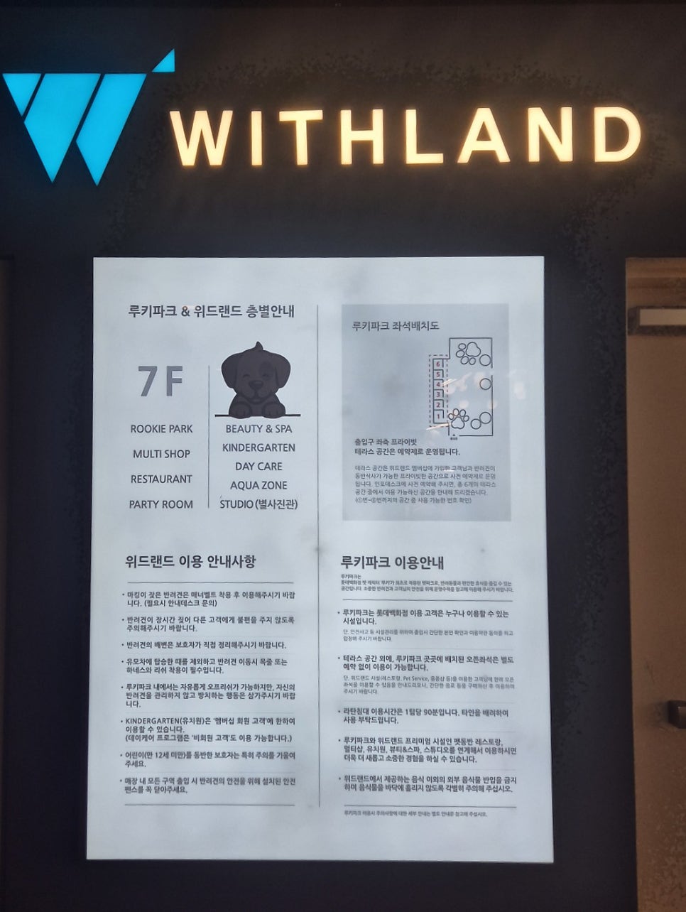 동탄 애견카페 위드랜드: 백화점 내 프리미엄 복합 공간 — 사진 4
