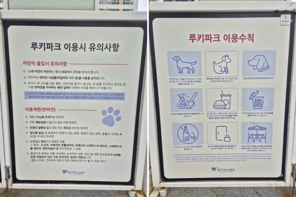 동탄 애견카페 위드랜드: 백화점 내 프리미엄 복합 공간 — 사진 17