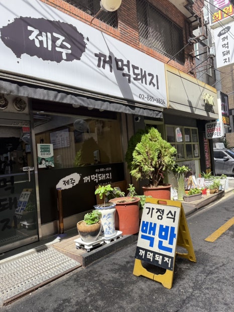 제주꺼먹돼지 사진 4