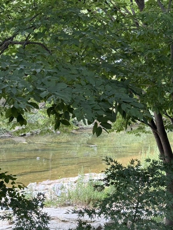 너럭바위펜션 이미지