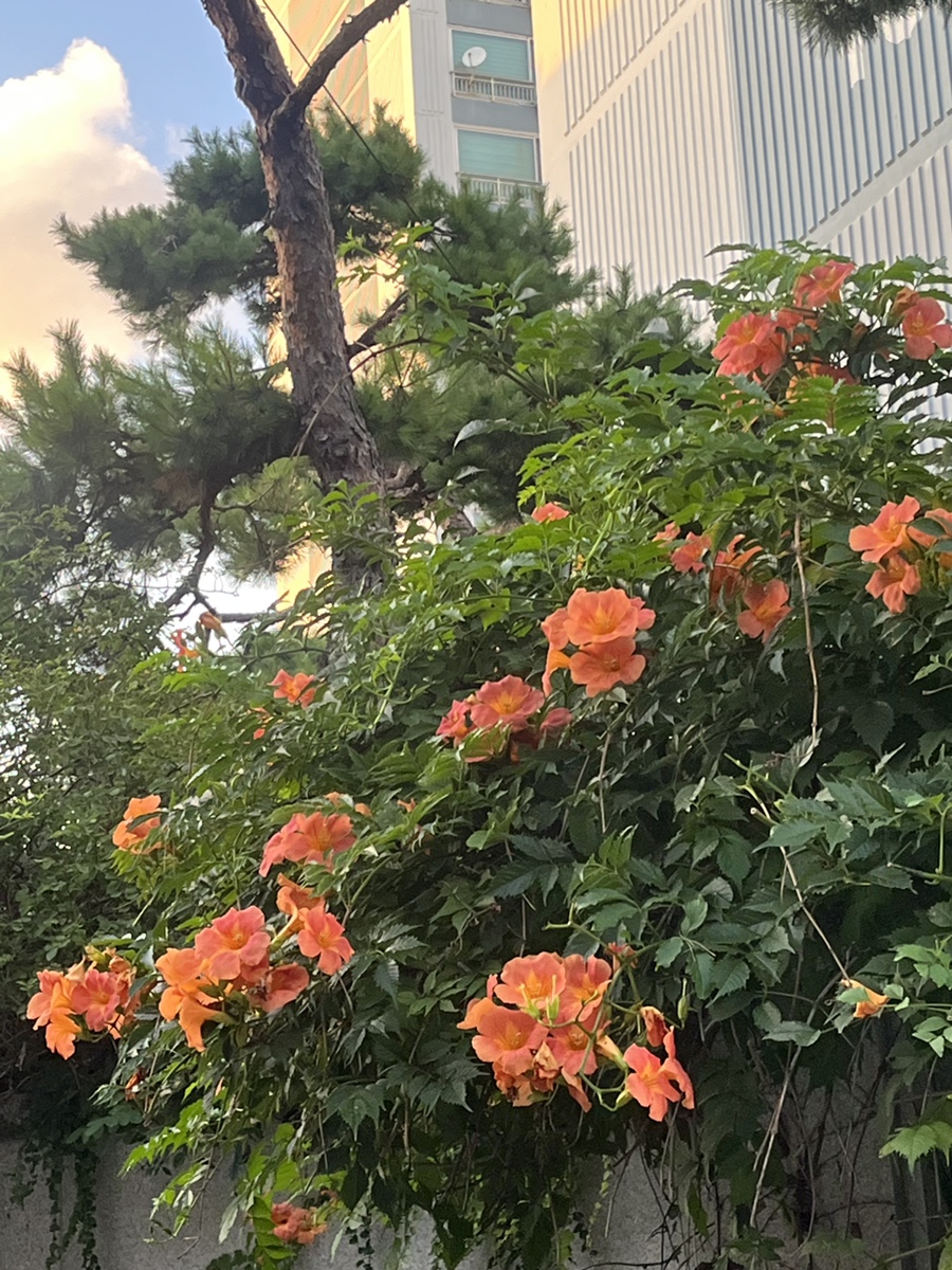 스탠딩스테이크 공덕점 사진 5