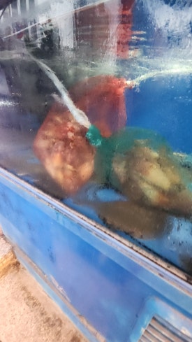 동해세꼬시 사진 8
