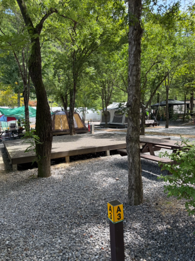 포레스트힐링캠프 이미지