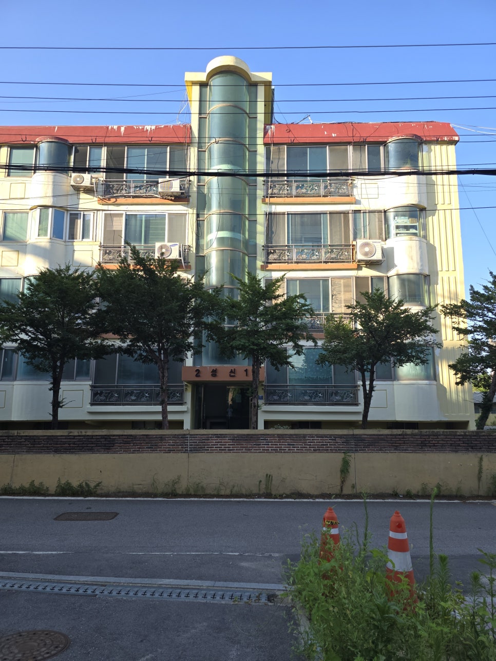 빌라 앞 시야 가리는 나무 벌목 — 현장 사진 3