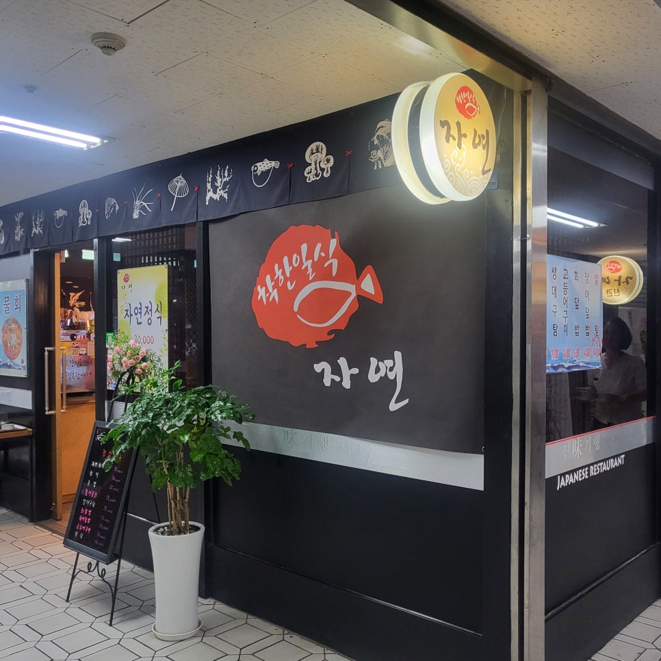 자연 사진 6