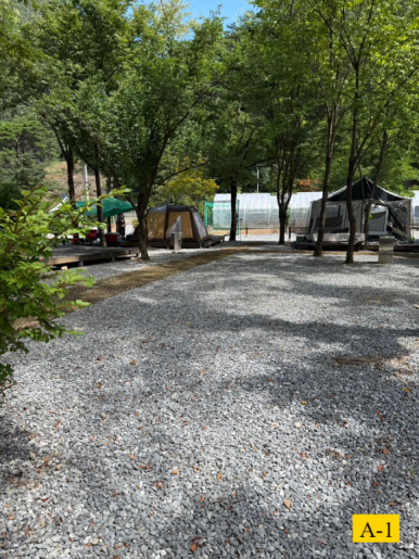 포레스트힐링캠프 이미지