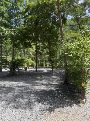 포레스트힐링캠프 이미지