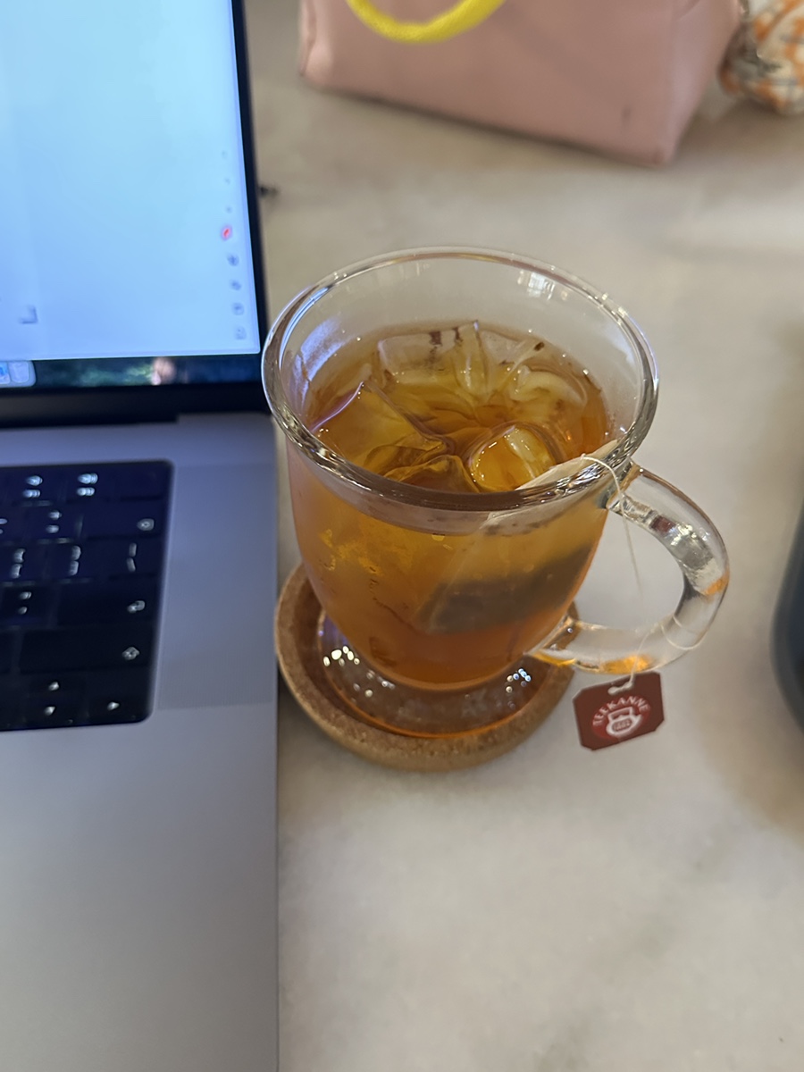 강남 애견동반 카페, 서울 루프탑 애견운동장 O — 사진 12