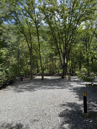 포레스트힐링캠프 이미지