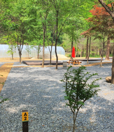 포레스트힐링캠프 이미지