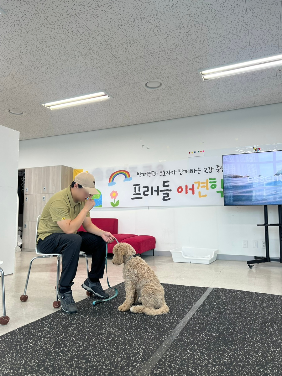 구리 강아지 방문훈련, 프래들 애견학교 퍼피 교육 후기 — 사진 10