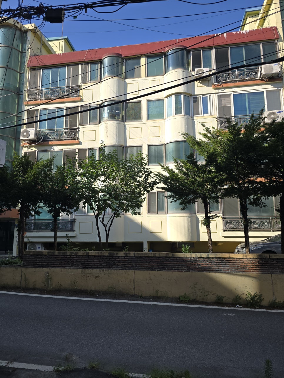 빌라 앞 시야 가리는 나무 벌목 — 현장 사진 4