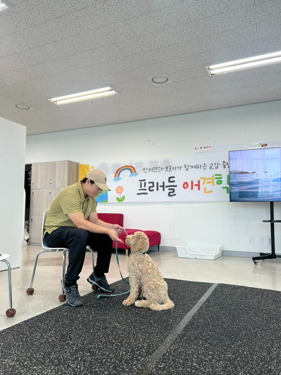 구리 강아지 방문훈련, 프래들 애견학교 퍼피 교육 후기 — 사진 6