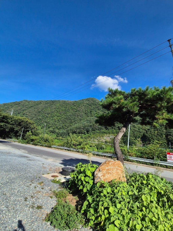 리버페리카페 이미지