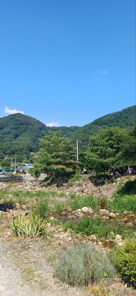 쁘띠몽블랑 이미지