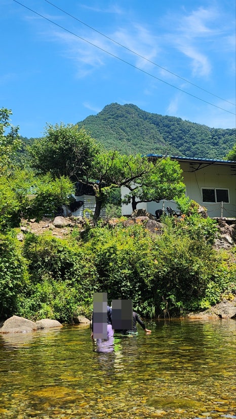 쁘띠몽블랑 이미지