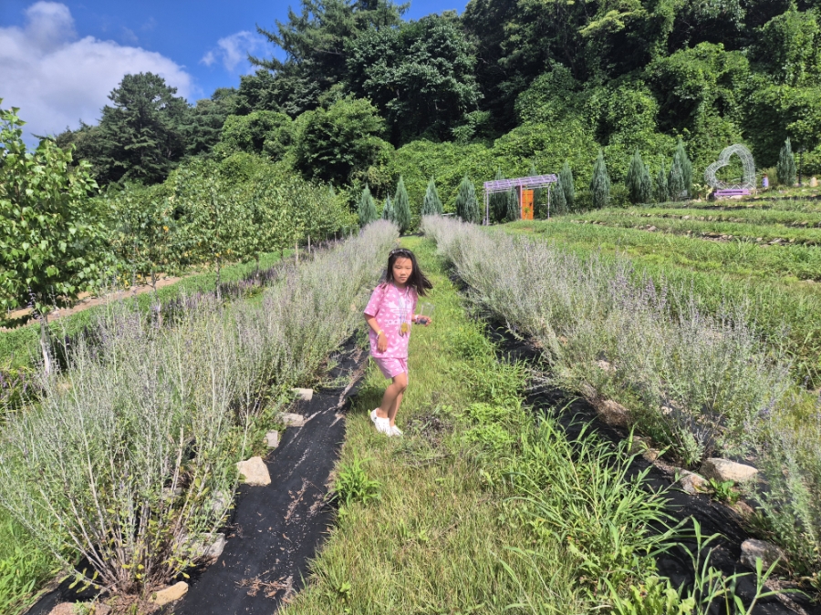 카페 보라길 이미지