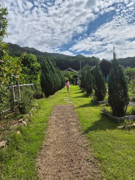 카페 보라길 이미지