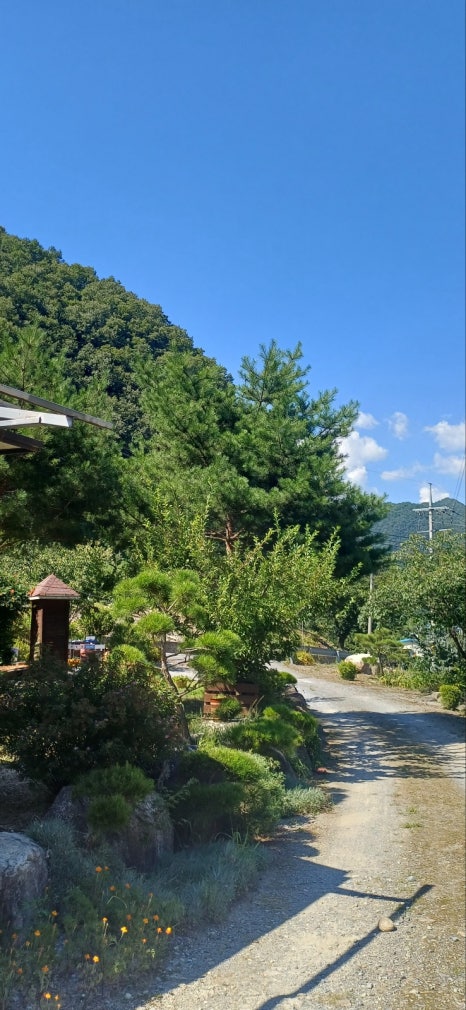 쁘띠몽블랑 이미지