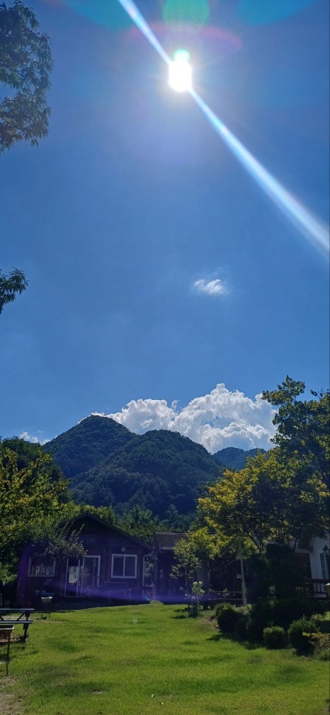 쁘띠몽블랑 이미지