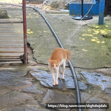 학현식당 이미지