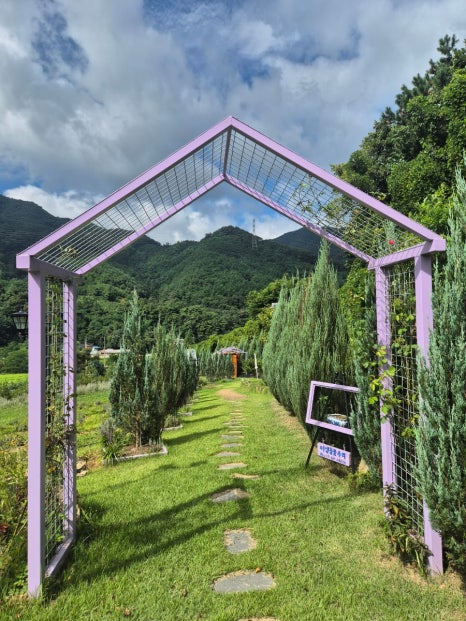 카페 보라길 이미지