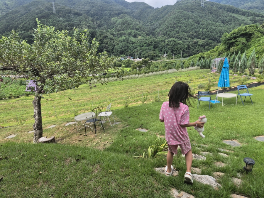 카페 보라길 이미지