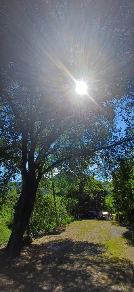 쁘띠몽블랑 이미지