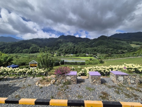 카페 보라길 이미지