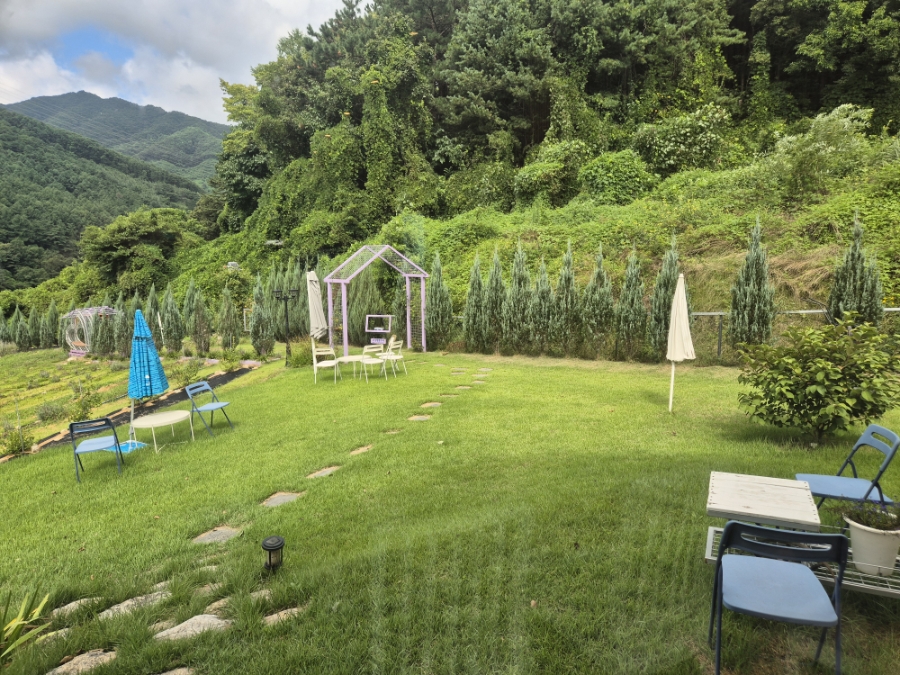 카페 보라길 이미지