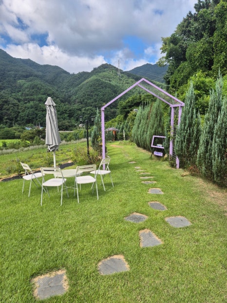 카페 보라길 이미지