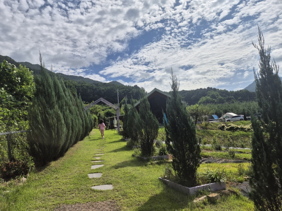 카페 보라길 이미지