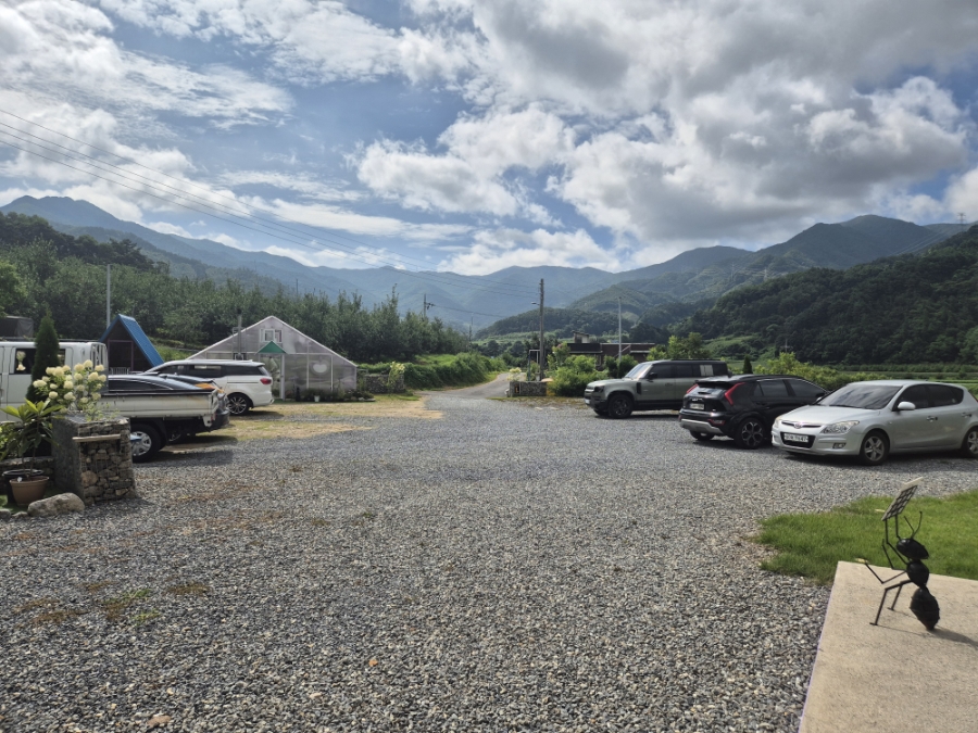 카페 보라길 이미지