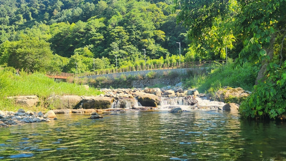 쁘띠몽블랑 이미지