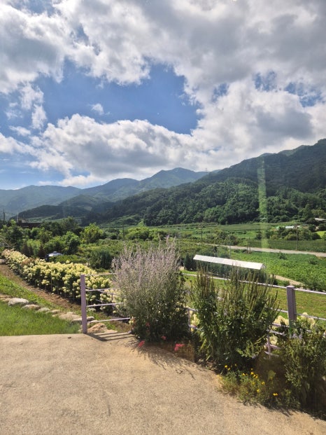 카페 보라길 이미지