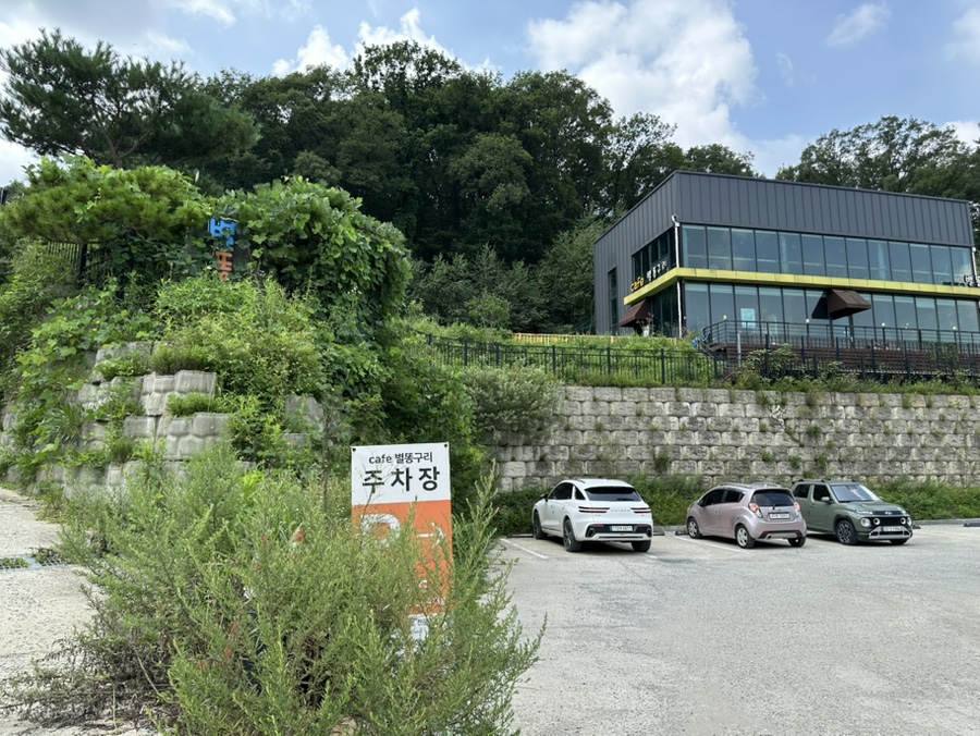 용인 별똥구리: 강아지 위한 애견카페 & 운동장 — 사진 2