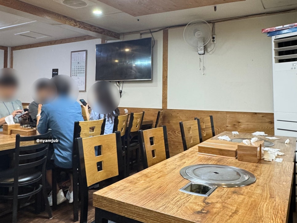 흑돼지 사진 7