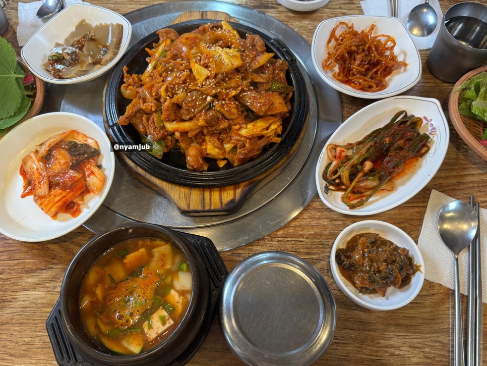 흑돼지 사진 4