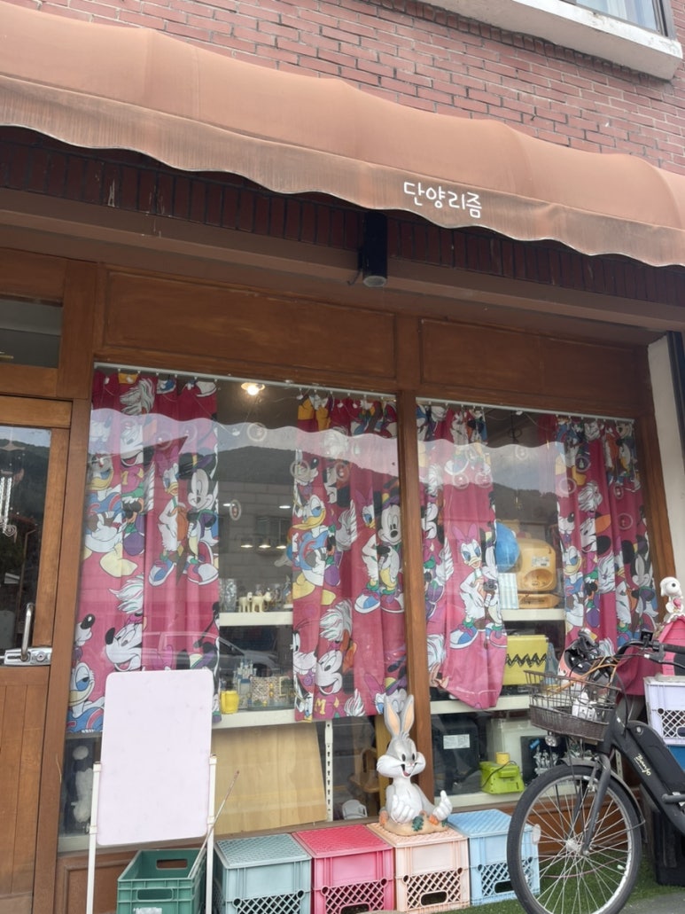 단양리즘 이미지