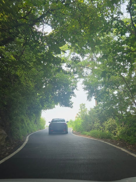 이끼베이커리 산점 이미지
