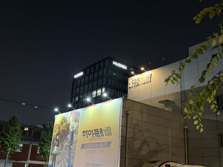 심심 사진 2