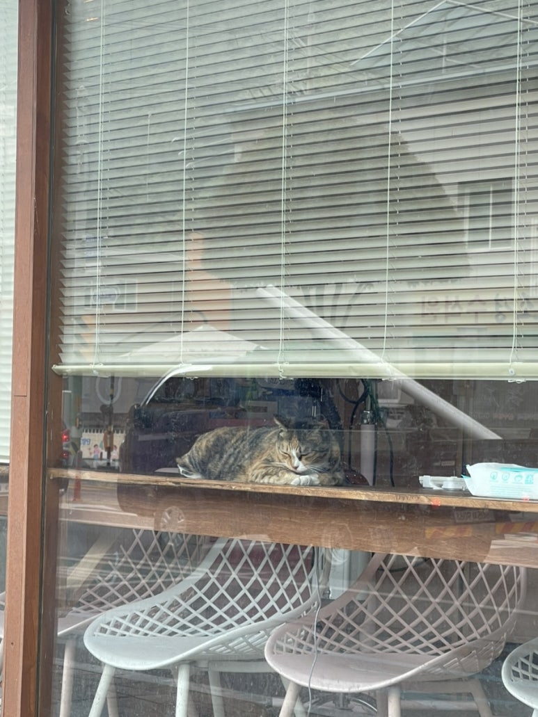 단양리즘 이미지