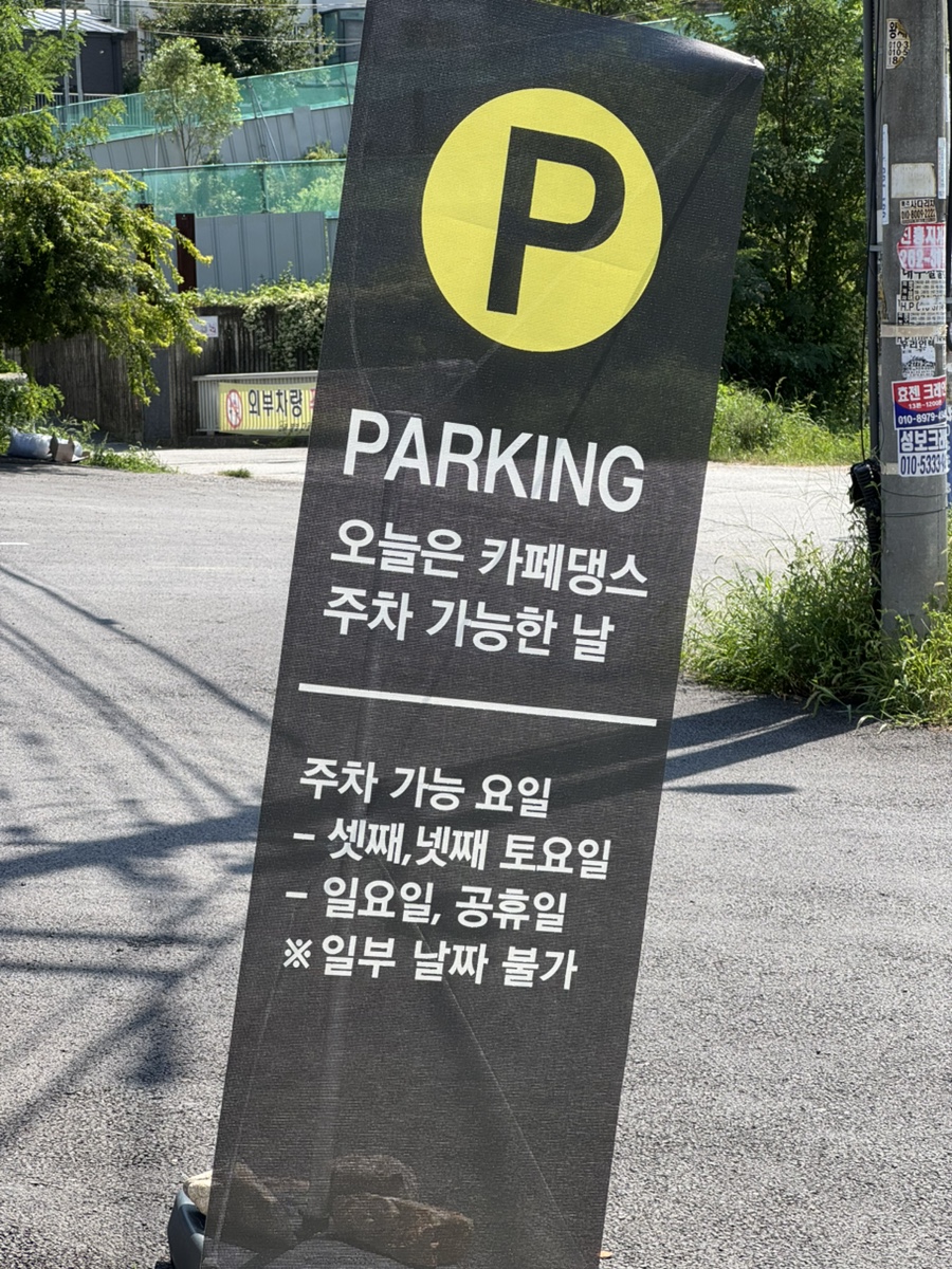 용인 애견카페 카페댕스, 강아지 운동장 후기 — 사진 2