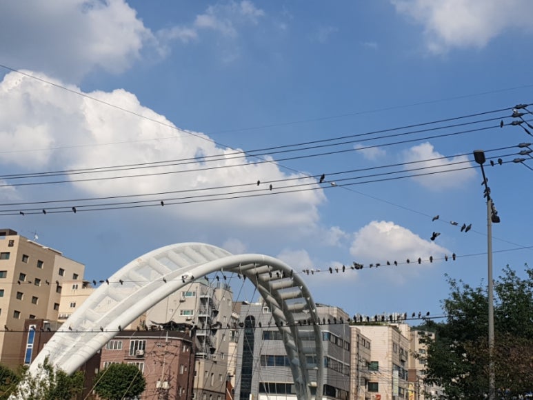(주)더불어 이미지