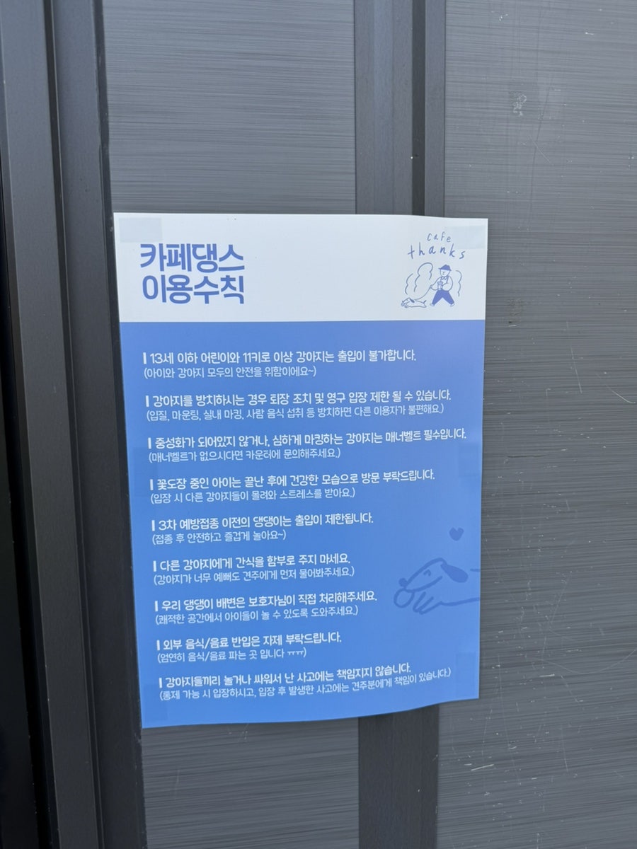 용인 애견카페 카페댕스, 강아지 운동장 후기 — 사진 6