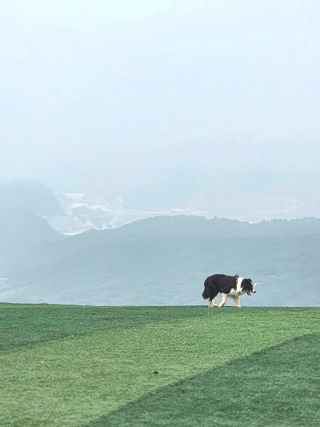 이끼베이커리 산점 이미지
