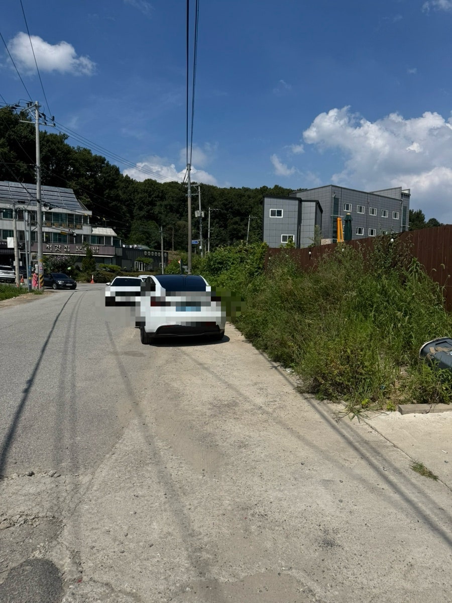 용인 애견카페 카페댕스, 강아지 운동장 후기 — 사진 4