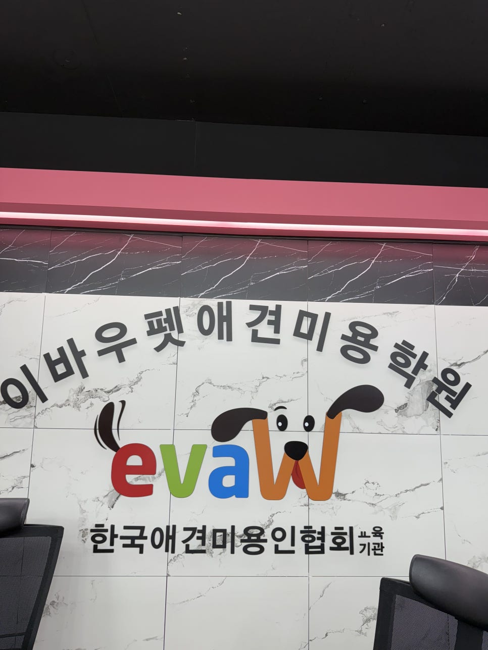 서초애견미용학원, 단기간 자격증 취득 성공 후기 — 사진 3